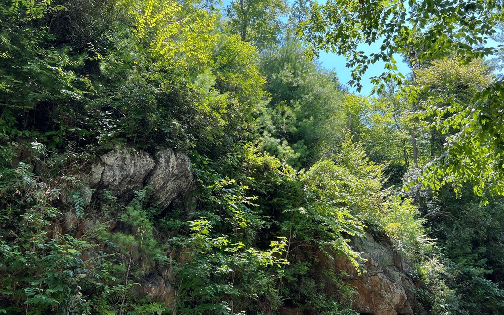Lot 76 Fires Creek Cove #76, HAYESVILLE, North Carolina image 15