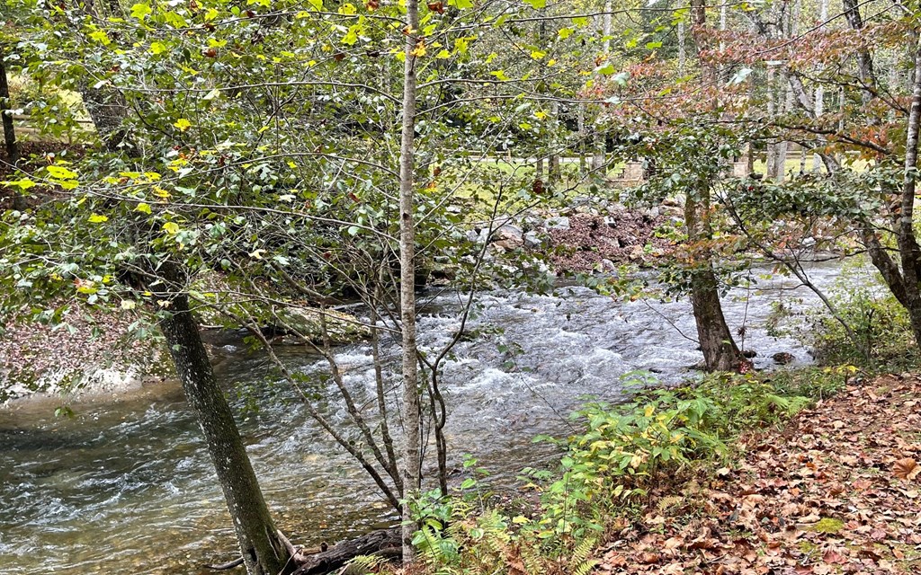 Lot 76 Fires Creek Cove #76, HAYESVILLE, North Carolina image 8