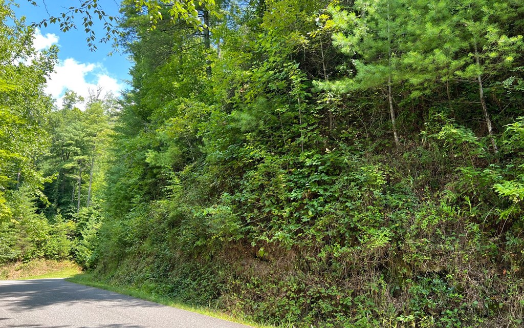 Lot 76 Fires Creek Cove #76, HAYESVILLE, North Carolina image 3