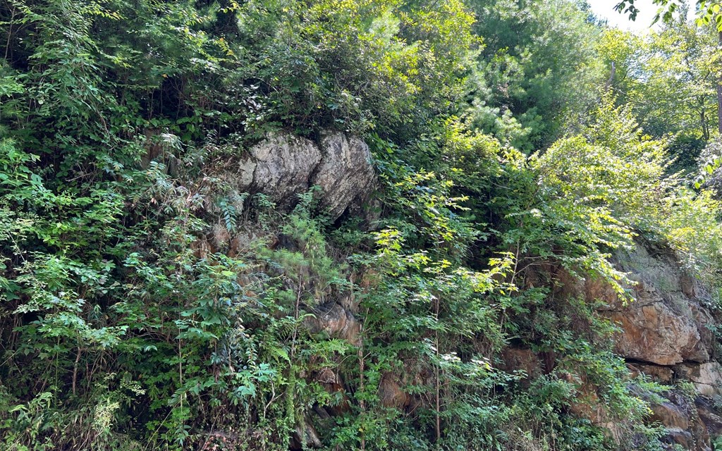 Lot 76 Fires Creek Cove #76, HAYESVILLE, North Carolina image 10
