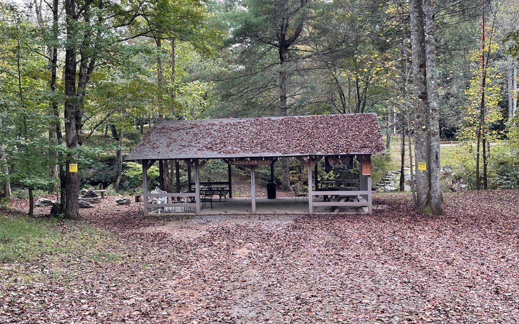 Lot 76 Fires Creek Cove #76, HAYESVILLE, North Carolina image 4
