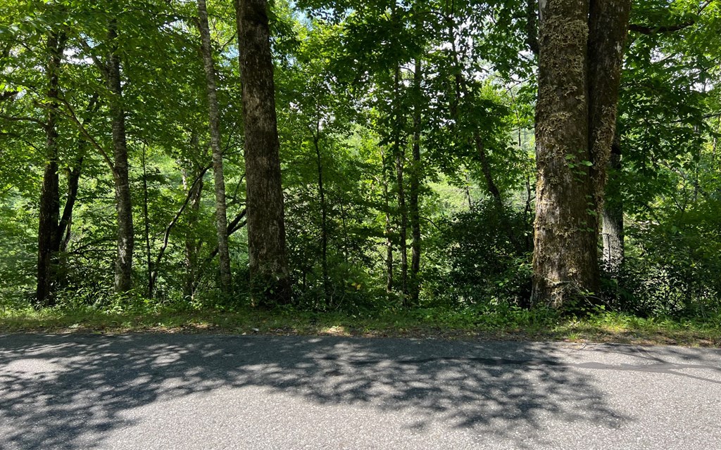 Lot 76 Fires Creek Cove #76, HAYESVILLE, North Carolina image 17