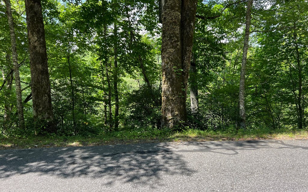 Lot 76 Fires Creek Cove #76, HAYESVILLE, North Carolina image 18