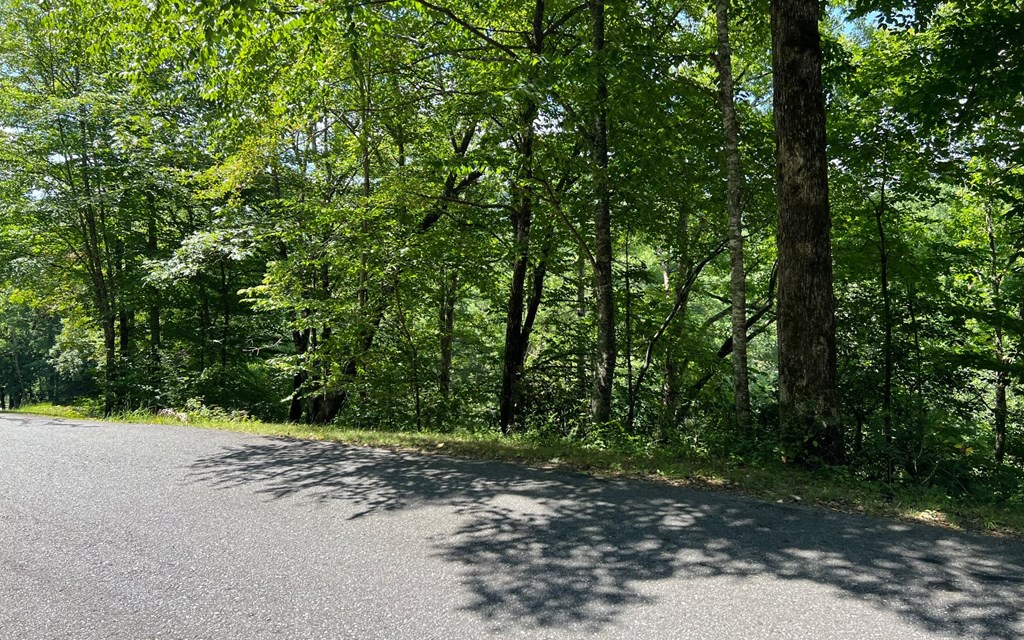 Lot 76 Fires Creek Cove #76, HAYESVILLE, North Carolina image 16