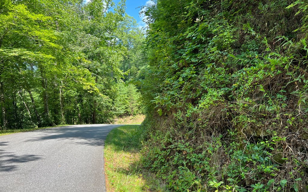 Lot 76 Fires Creek Cove #76, HAYESVILLE, North Carolina image 19