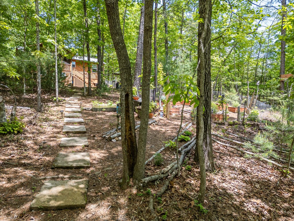 243 Havenwood Lane, MURPHY, North Carolina image 35