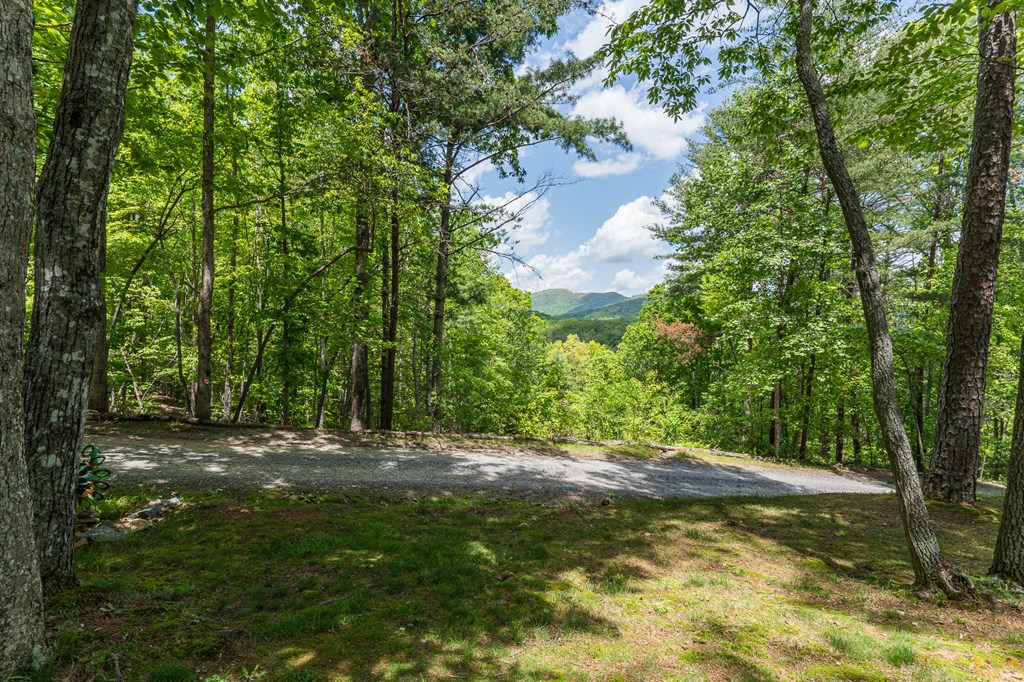 243 Havenwood Lane, MURPHY, North Carolina image 48