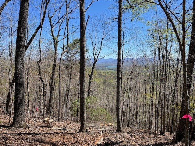 Lot 11 Longview Drive #11, HAYESVILLE, North Carolina image 9