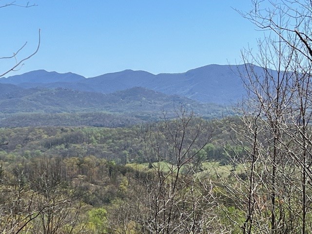 Lot 11 Longview Drive #11, HAYESVILLE, North Carolina image 3