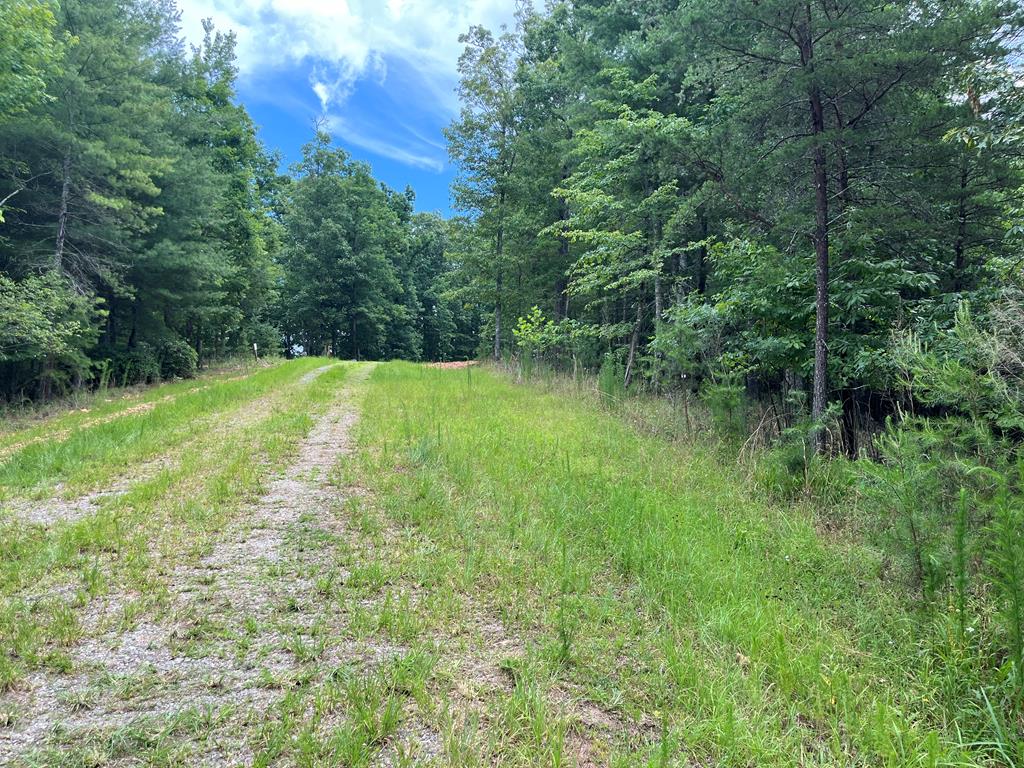 Lot 81 Short Oak Run, MURPHY, North Carolina image 19