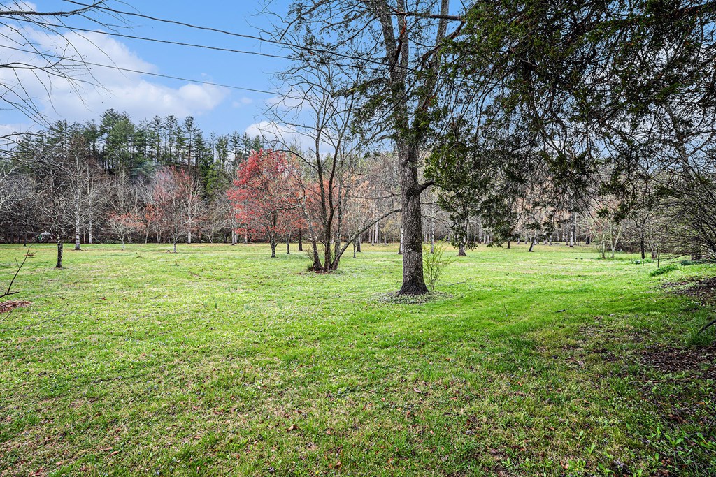 15 Bridge Street, MINERAL BLUFF, Georgia image 22