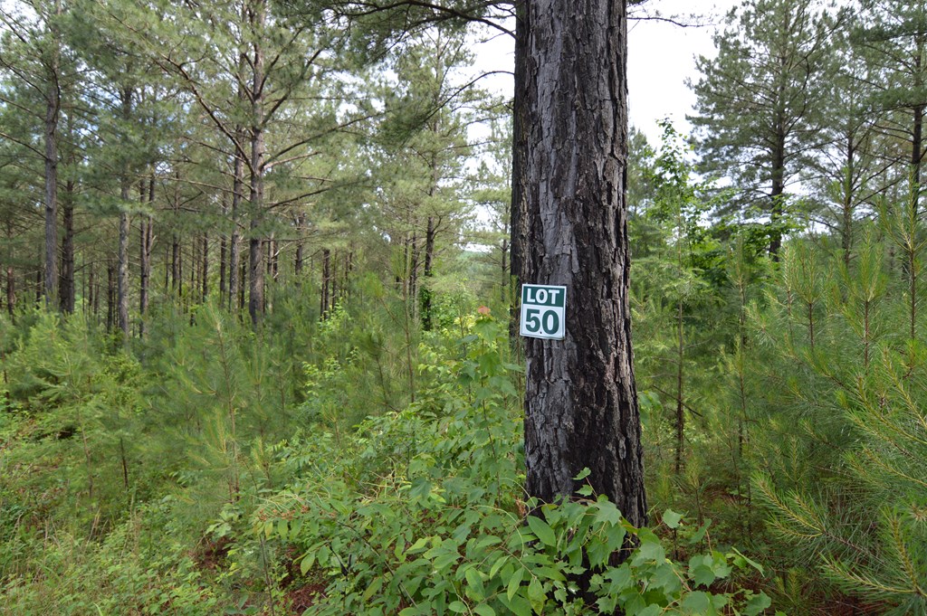 Lot 50 Pinehurst #50, BLAIRSVILLE, Georgia image 3