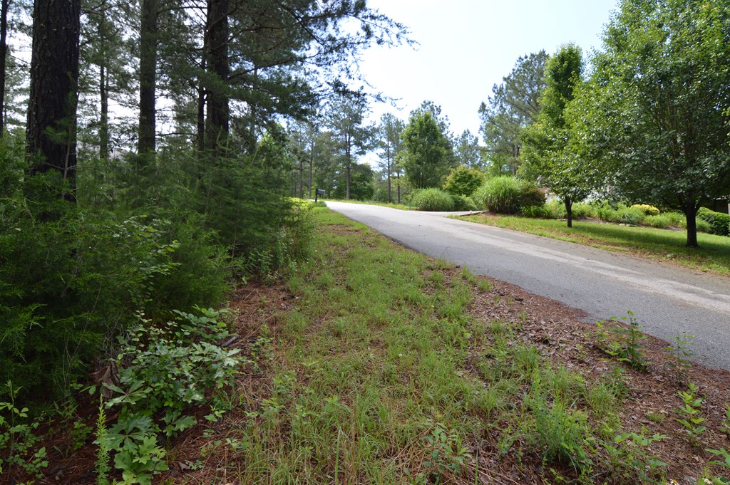 Lot 50 Pinehurst #50, BLAIRSVILLE, Georgia image 5