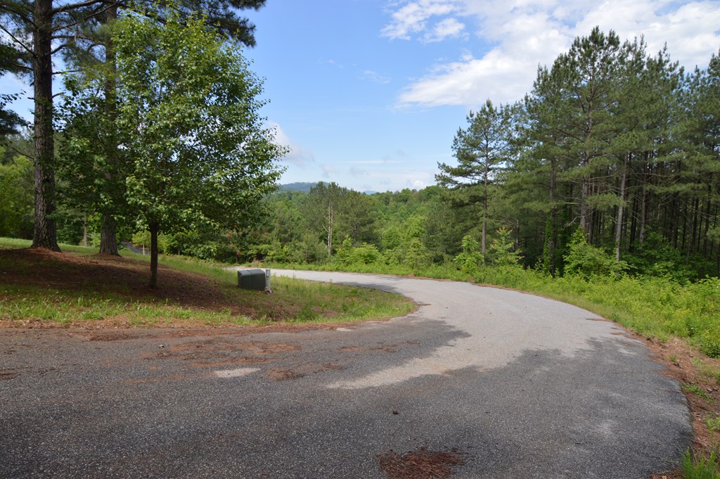 Lot 50 Pinehurst #50, BLAIRSVILLE, Georgia image 6