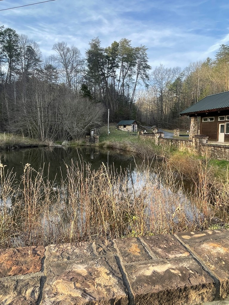 TBD Deep Forest Rd #131, MURPHY, North Carolina image 9