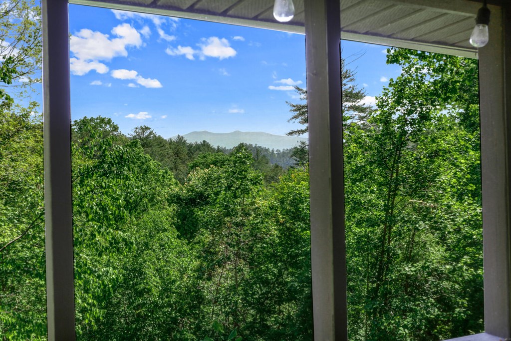 515 Laurel Cove Road, MURPHY, North Carolina image 16