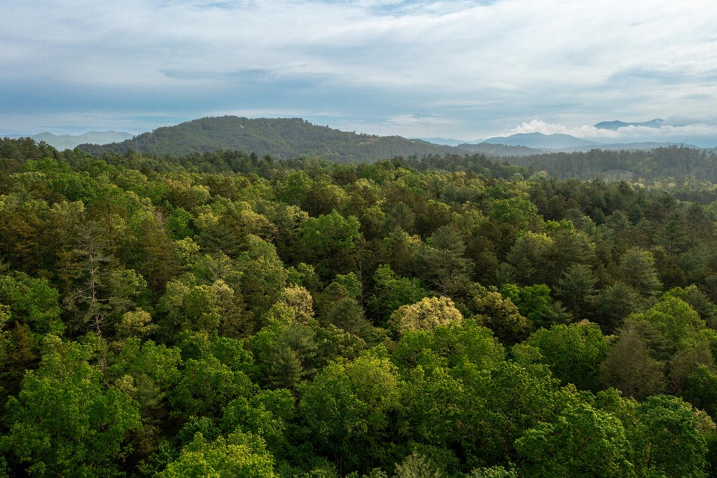 515 Laurel Cove Road, MURPHY, North Carolina image 43