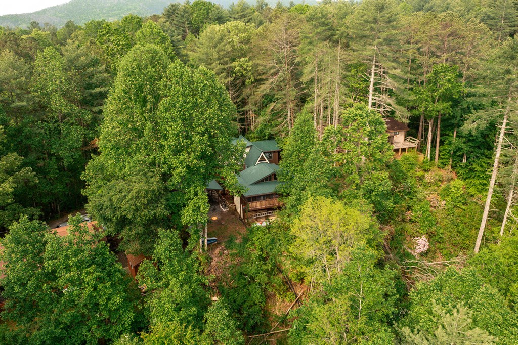 515 Laurel Cove Road, MURPHY, North Carolina image 11