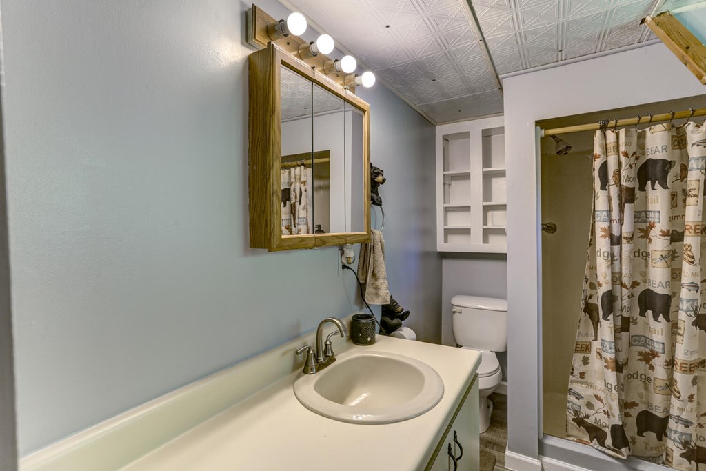 515 Laurel Cove Road, MURPHY, North Carolina image 37