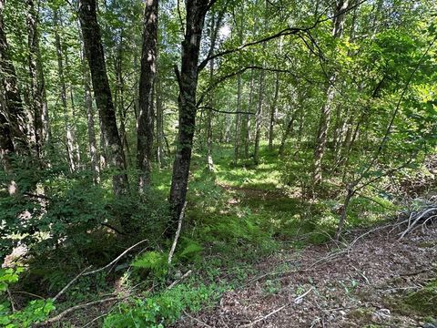 Vacant Land For Sale - 00 Choctaw Ridge Trail<br/> MURPHY, NC 28906