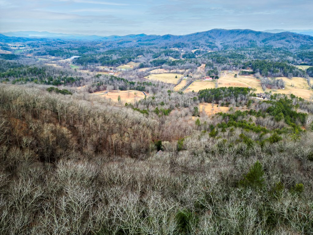 Lot 6 Mason Way #6, BRASSTOWN, North Carolina image 4