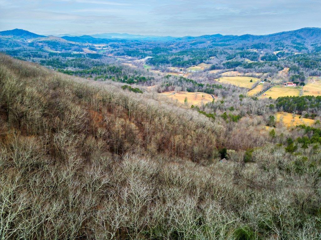 Lot 6 Mason Way #6, BRASSTOWN, North Carolina image 5