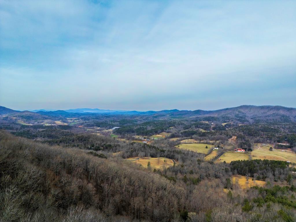 Lot 6 Mason Way #6, BRASSTOWN, North Carolina image 1