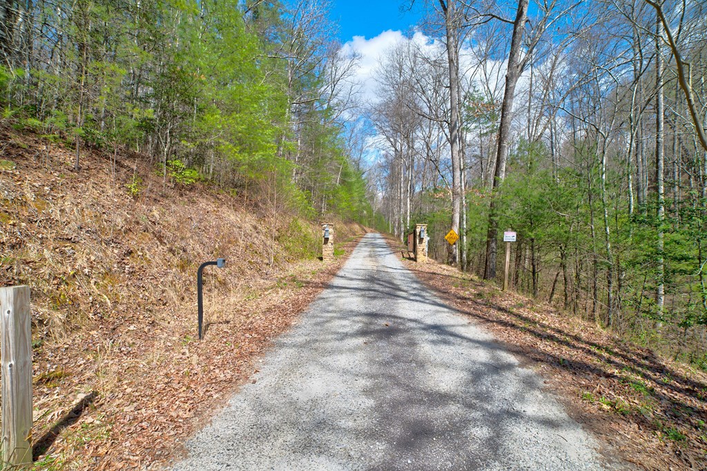 Lt 22/24 Rye Field Road #22/24, MURPHY, North Carolina image 26