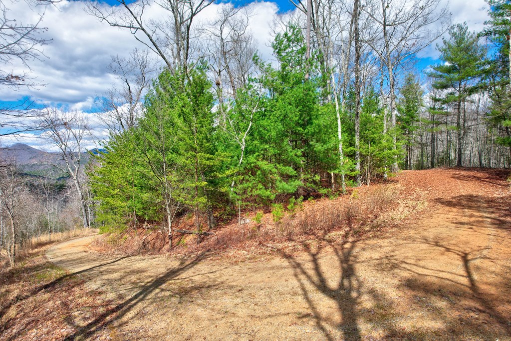 Lt 22/24 Rye Field Road #22/24, MURPHY, North Carolina image 7