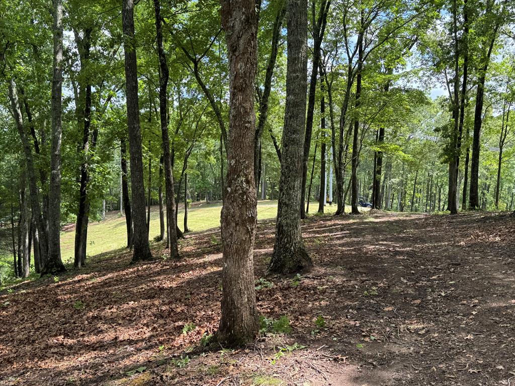 Lot 65 Thundering Hl #65, MURPHY, North Carolina image 14