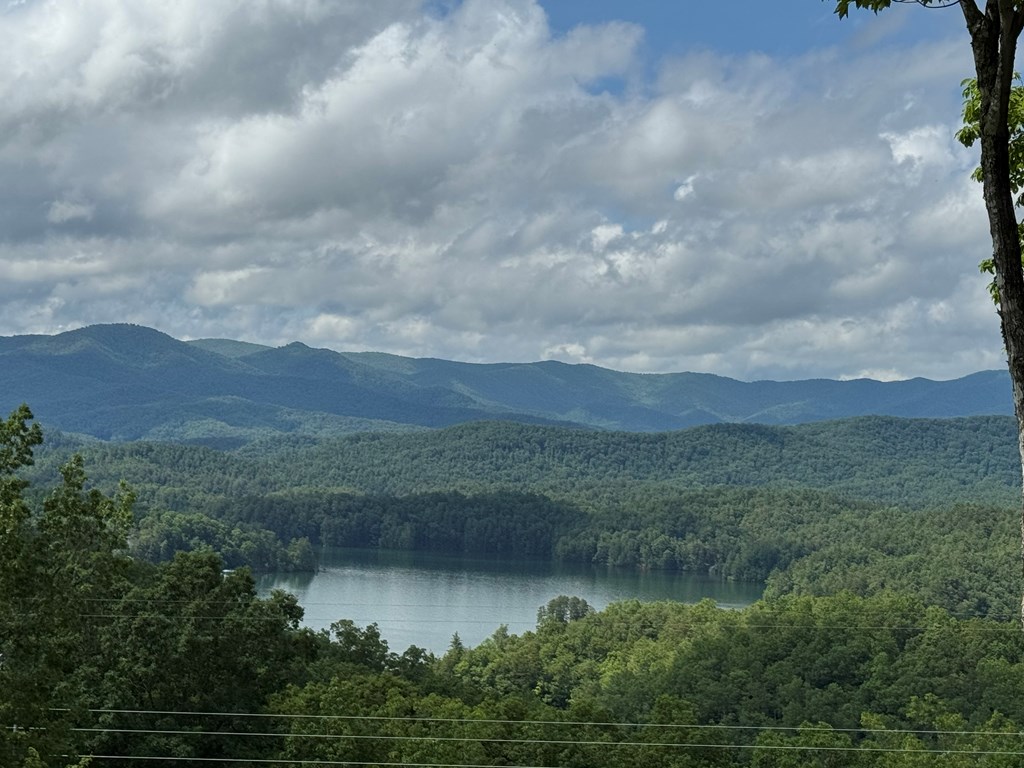 Lot 65 Thundering Hl #65, MURPHY, North Carolina image 12