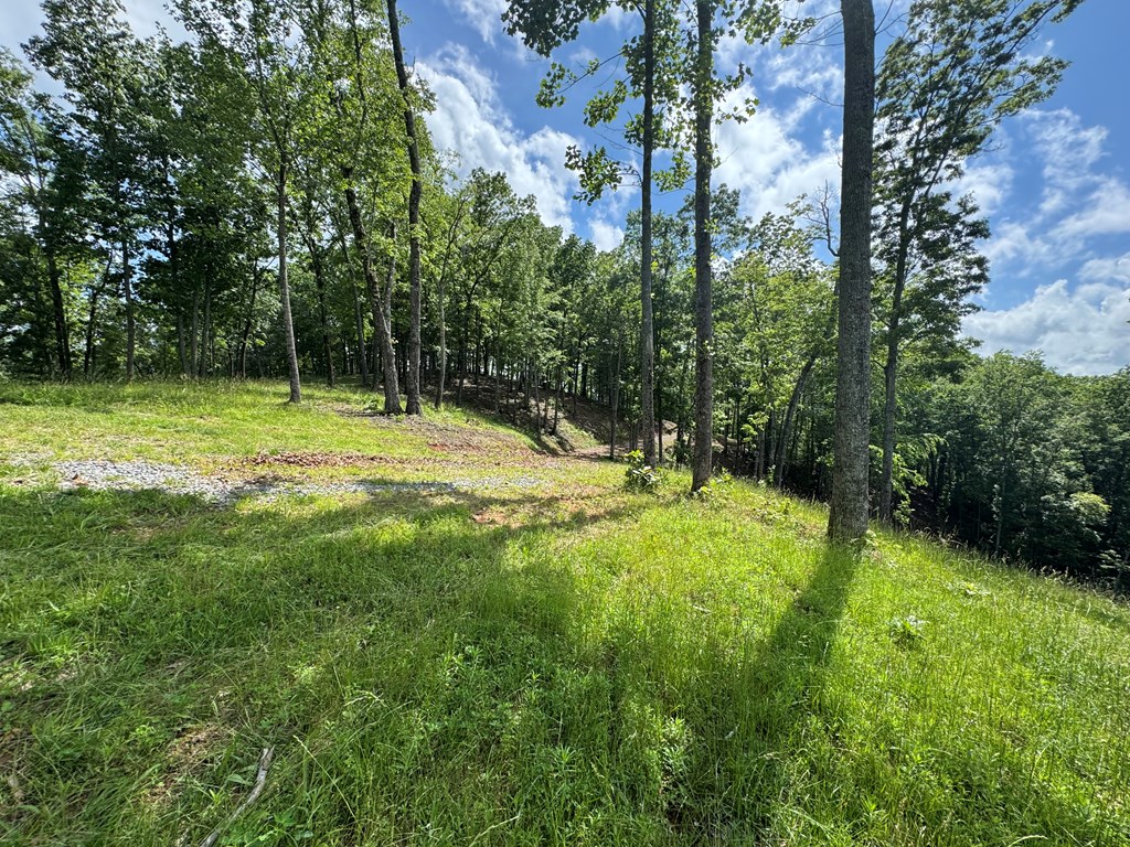 Lot 65 Thundering Hl #65, MURPHY, North Carolina image 6
