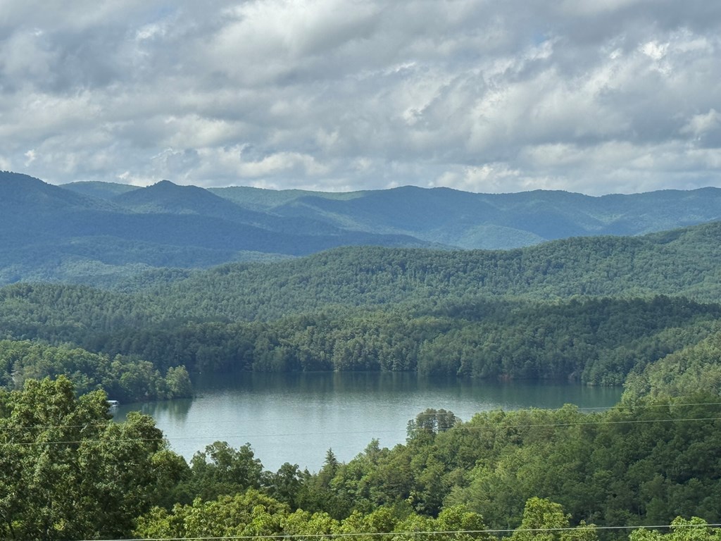Lot 65 Thundering Hl #65, MURPHY, North Carolina image 8