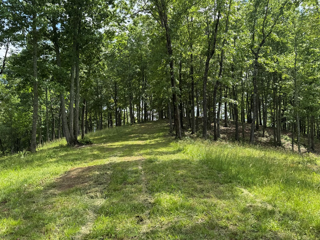 Lot 65 Thundering Hl #65, MURPHY, North Carolina image 5