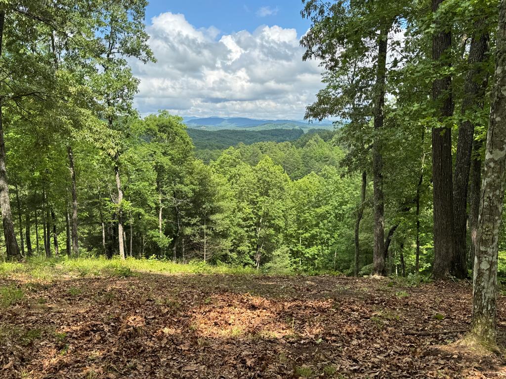 Lot 65 Thundering Hl #65, MURPHY, North Carolina image 9