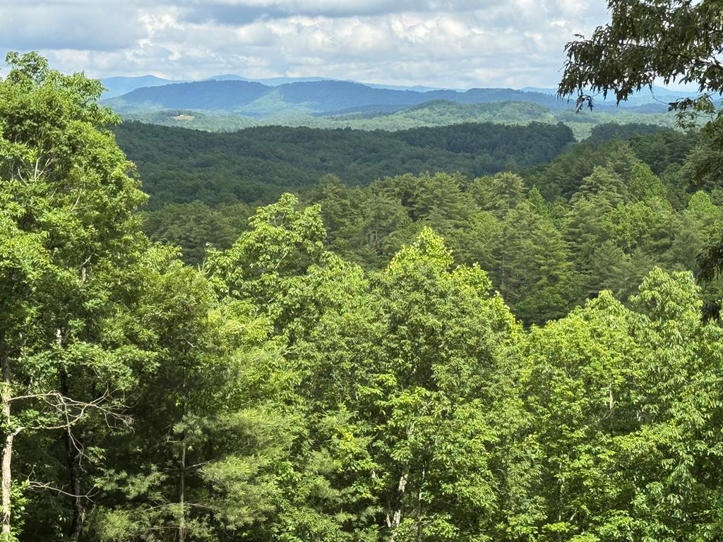 Lot 65 Thundering Hl #65, MURPHY, North Carolina image 13