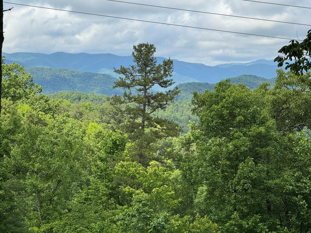 Lot 65 Thundering Hl #65, MURPHY, North Carolina image 10