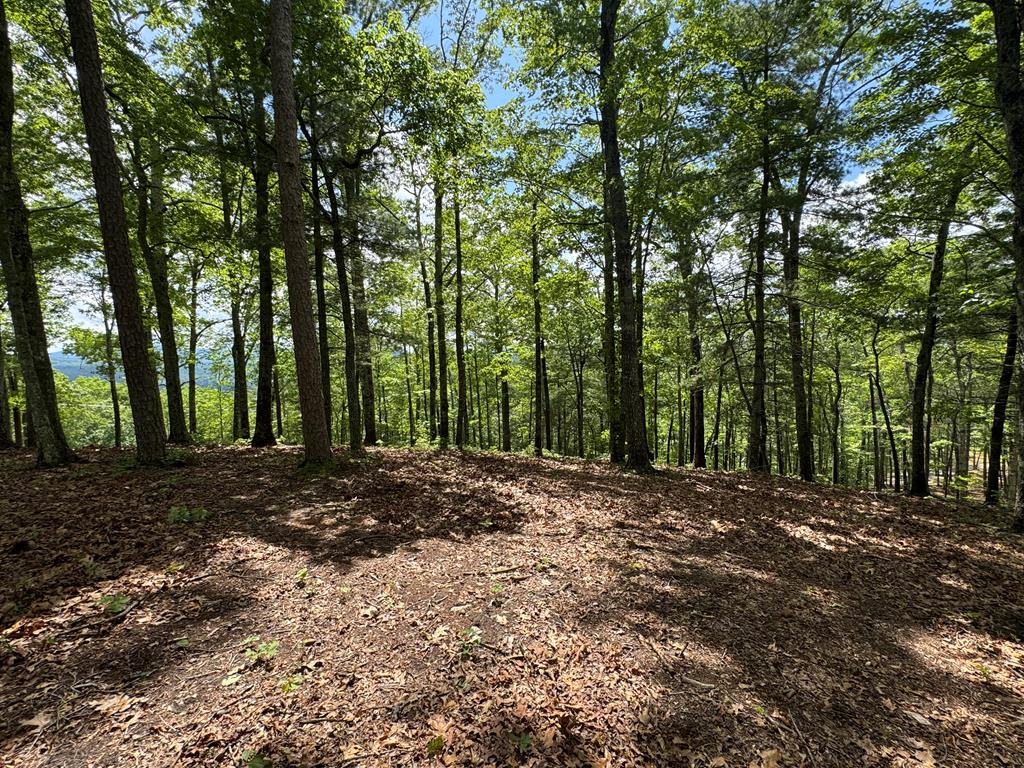 Lot 65 Thundering Hl #65, MURPHY, North Carolina image 17