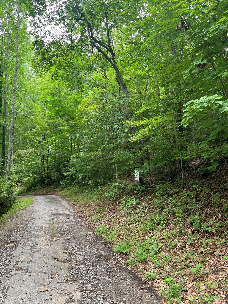 LOT 12 Kilpatrick Point Terrace #12, HAYESVILLE, North Carolina image 9