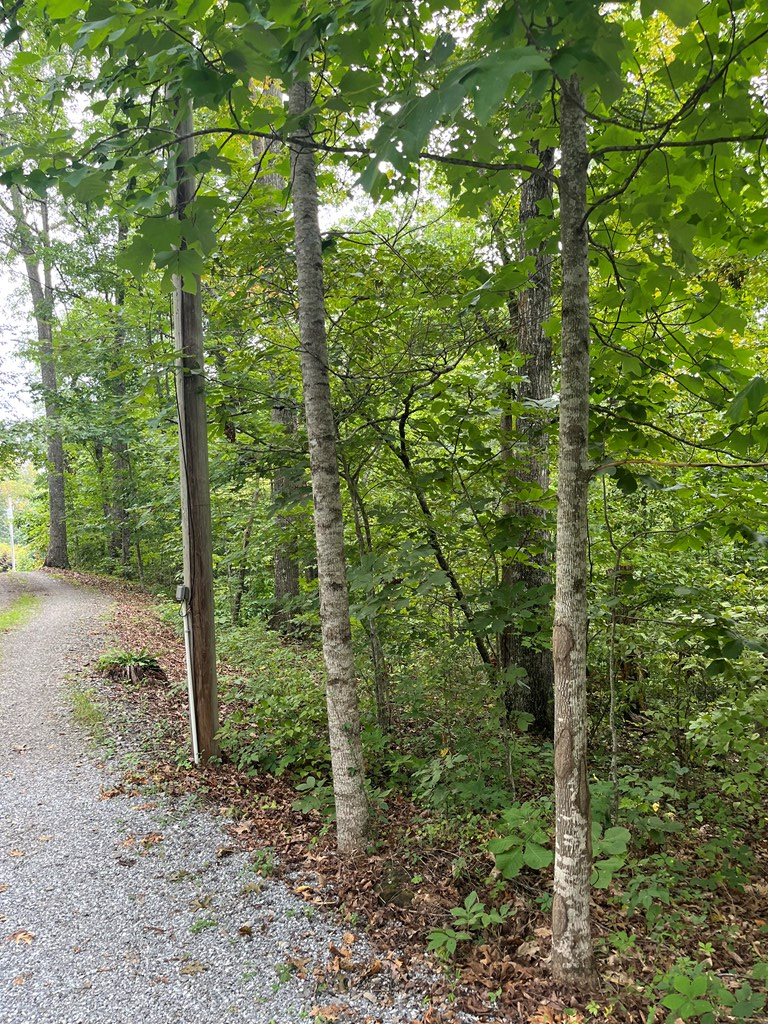 LOT 12 Kilpatrick Point Terrace #12, HAYESVILLE, North Carolina image 11