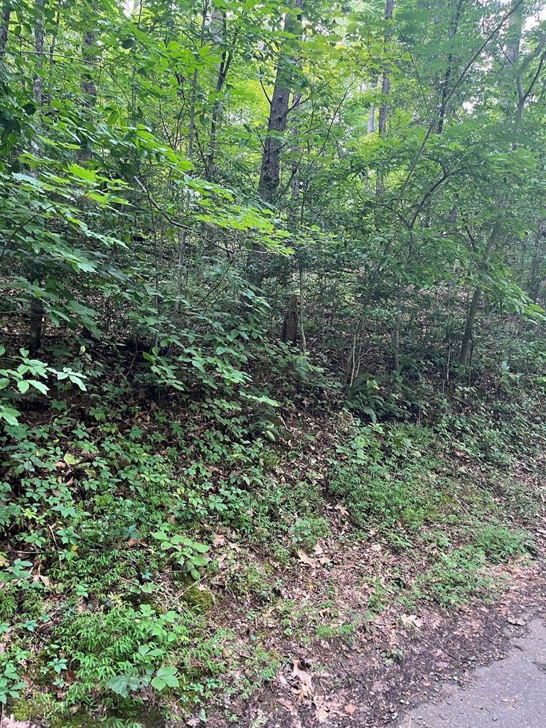 LOT 12 Kilpatrick Point Terrace #12, HAYESVILLE, North Carolina image 8