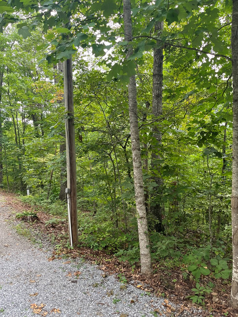 LOT 12 Kilpatrick Point Terrace #12, HAYESVILLE, North Carolina image 12