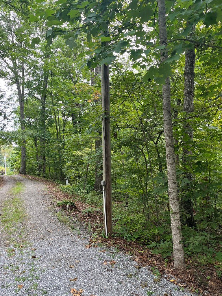 LOT 12 Kilpatrick Point Terrace #12, HAYESVILLE, North Carolina image 13