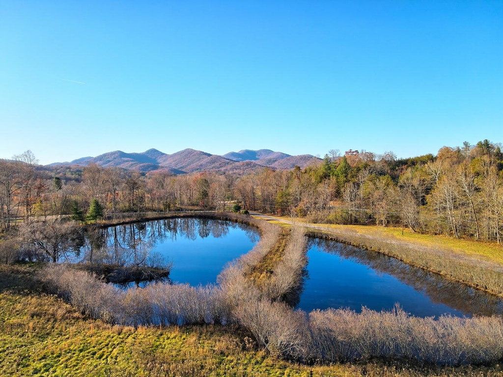 307 Plott Town Overlook, BLAIRSVILLE, Georgia image 2