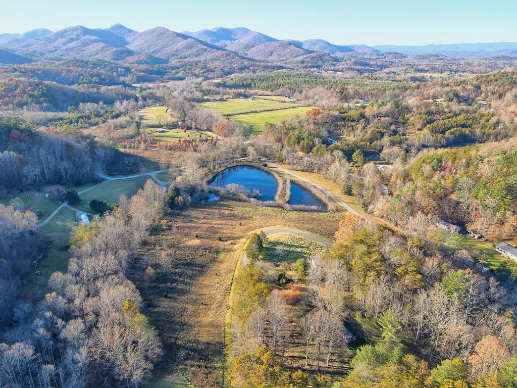 307 Plott Town Overlook, BLAIRSVILLE, Georgia image 3