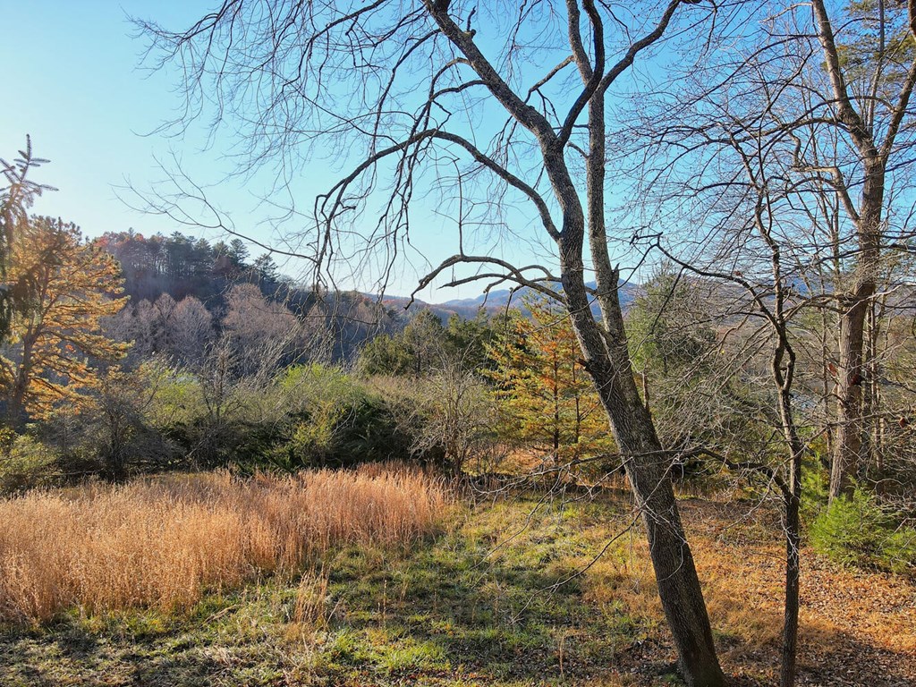 307 Plott Town Overlook, BLAIRSVILLE, Georgia image 12