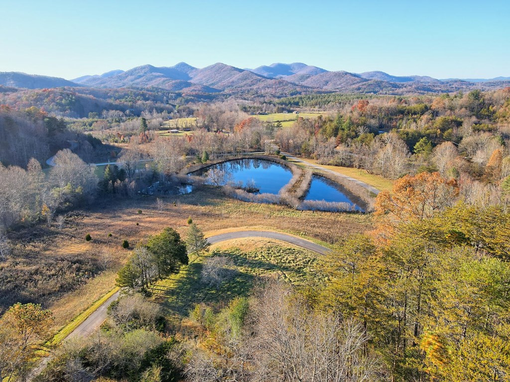 307 Plott Town Overlook, BLAIRSVILLE, Georgia image 10