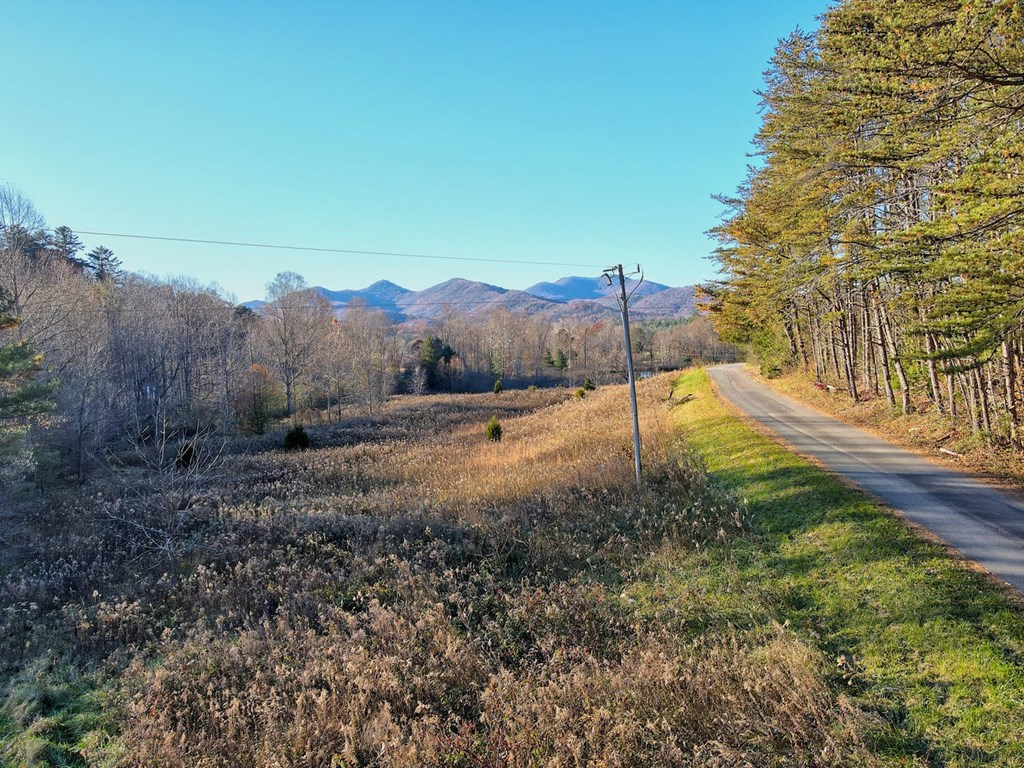 307 Plott Town Overlook, BLAIRSVILLE, Georgia image 6