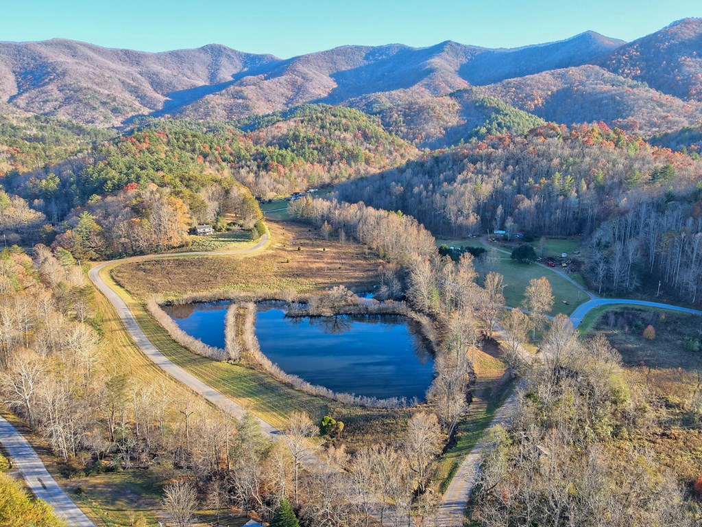 307 Plott Town Overlook, BLAIRSVILLE, Georgia image 4