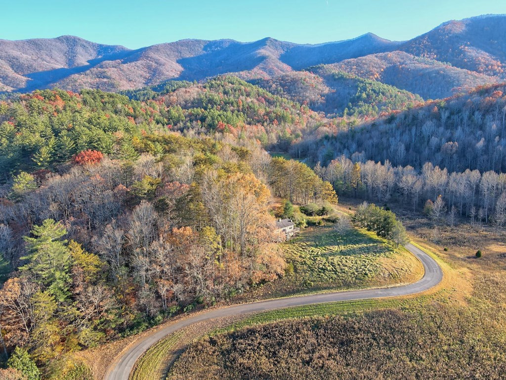 307 Plott Town Overlook, BLAIRSVILLE, Georgia image 9